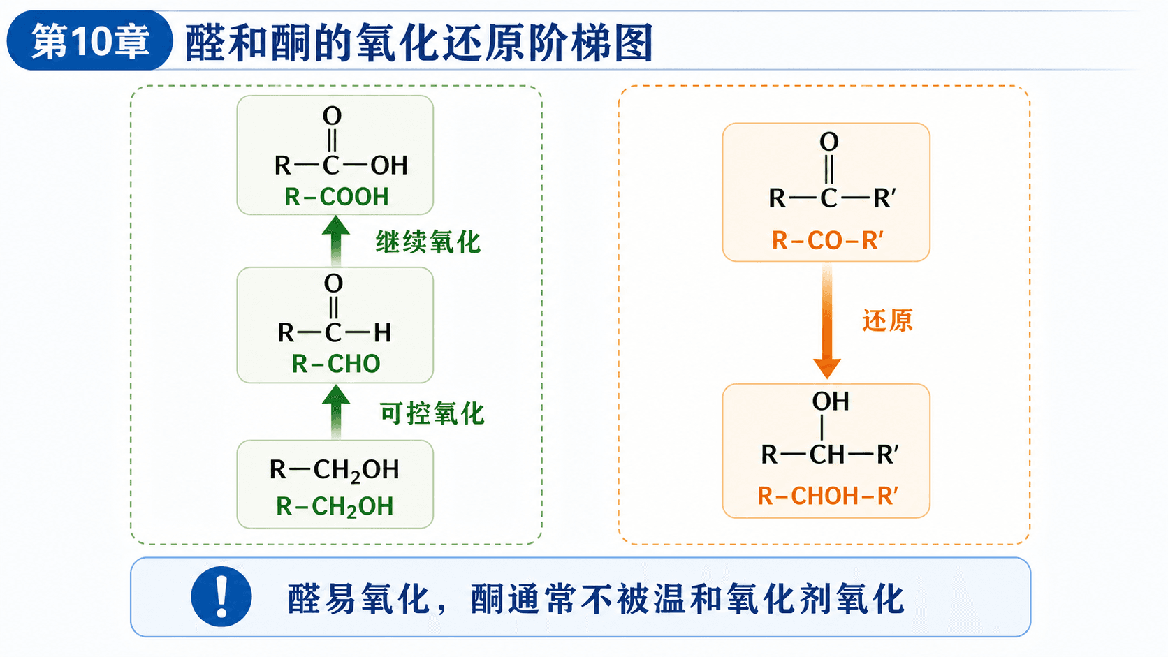 伯醇到醛到羧酸的氧化阶梯,以及酮还原为仲醇的方向图