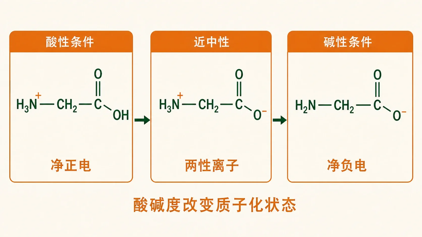 甘氨酸随 pH 改变的三种主要电荷状态