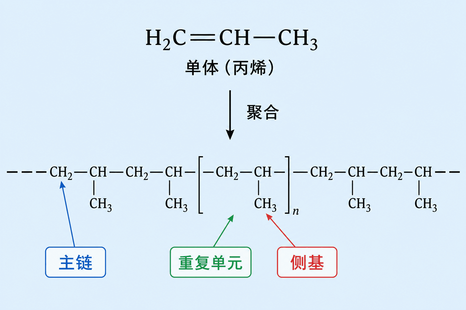 从单体到高分子链:重复单元、主链与侧基