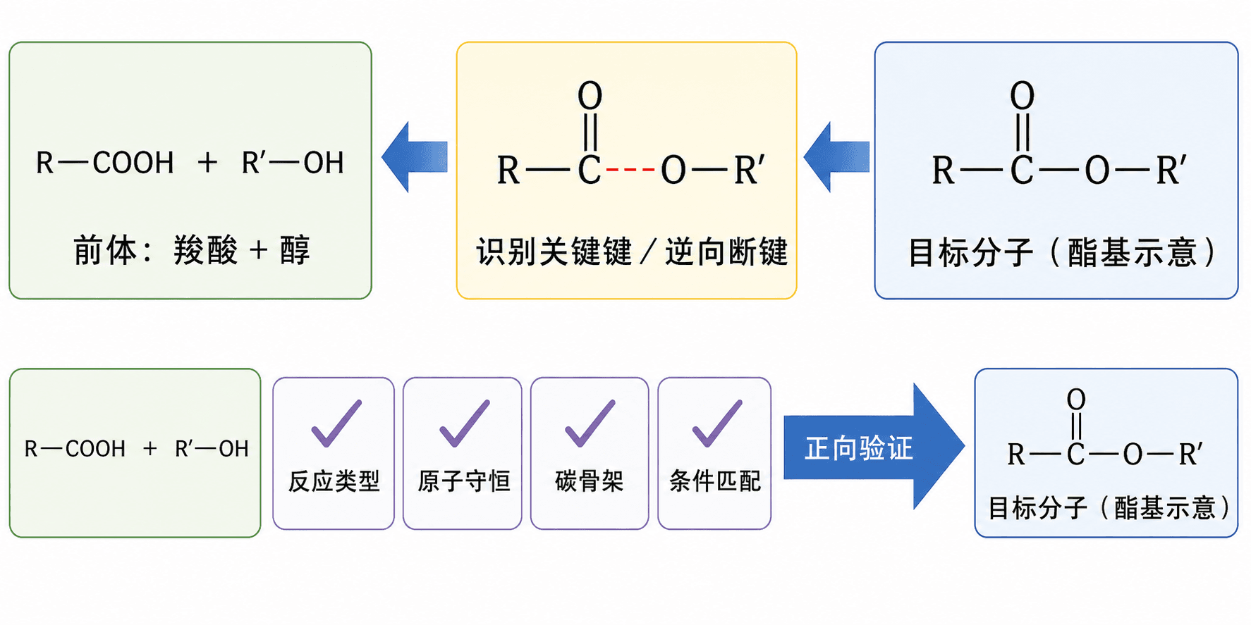 逆合成到正向验证:断键、找前体、核对路线