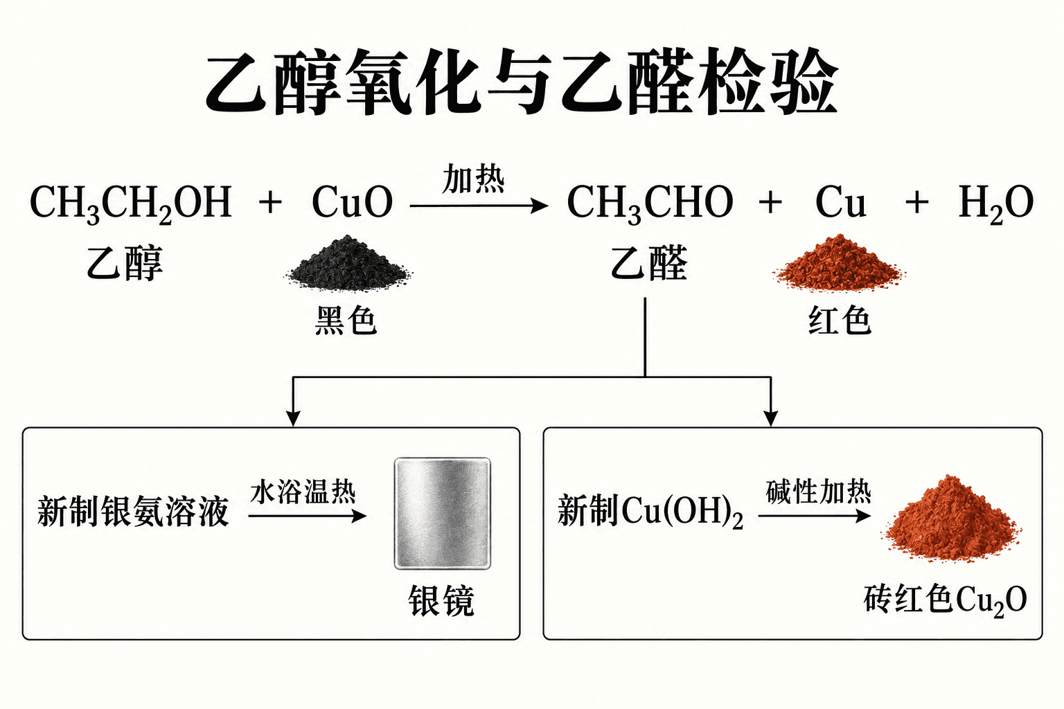 醇氧化与醛基检验的证据链