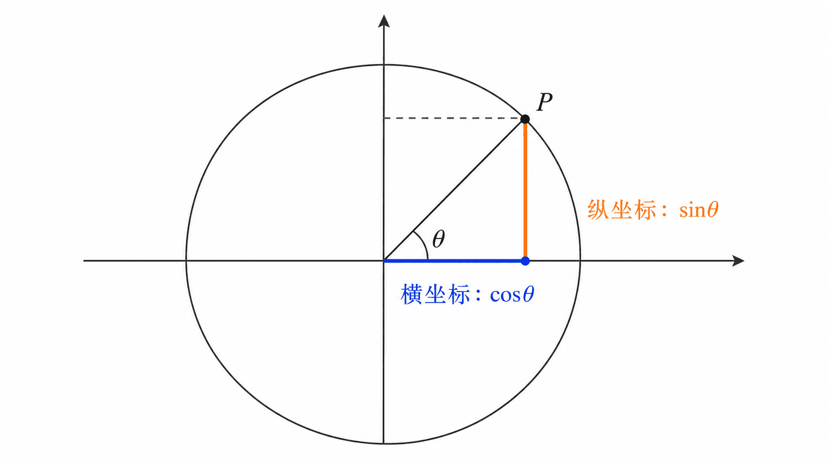 单位圆上一点 P 向坐标轴作投影，蓝色横坐标表示 cosθ，橙色纵坐标表示 sinθ。