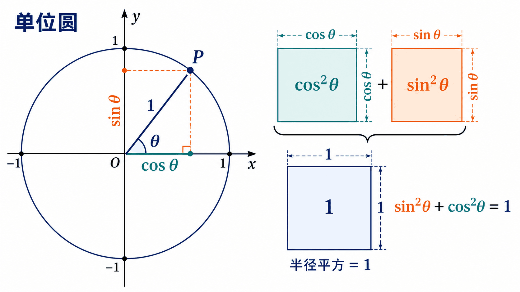 单位圆上一点 P 的横向投影为 cos θ、纵向投影为 sin θ，半径为 1，构成直角三角形并说明 sin²θ + cos²θ = 1。