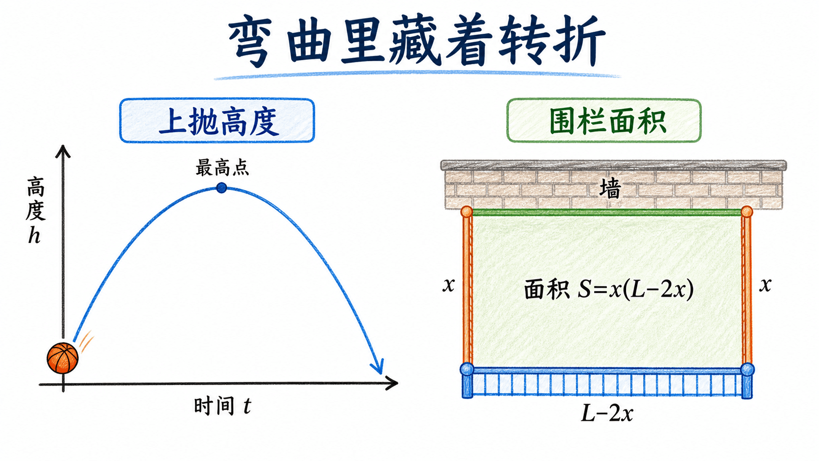 弯曲里藏着转折:上抛高度轨迹与靠墙围栏面积模型