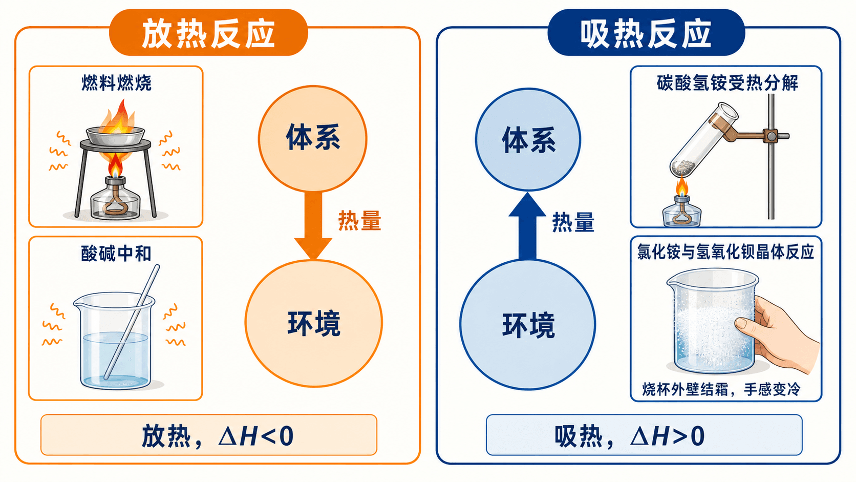 吸热与放热的能量流向示意图