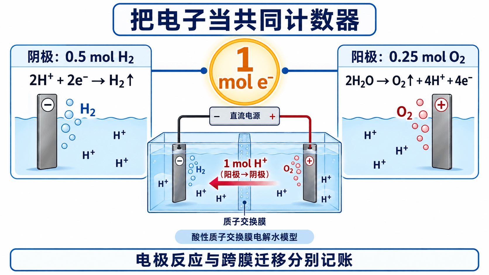 以一摩尔电子为共同计数器,核算电极产物和跨膜离子变化的账本图