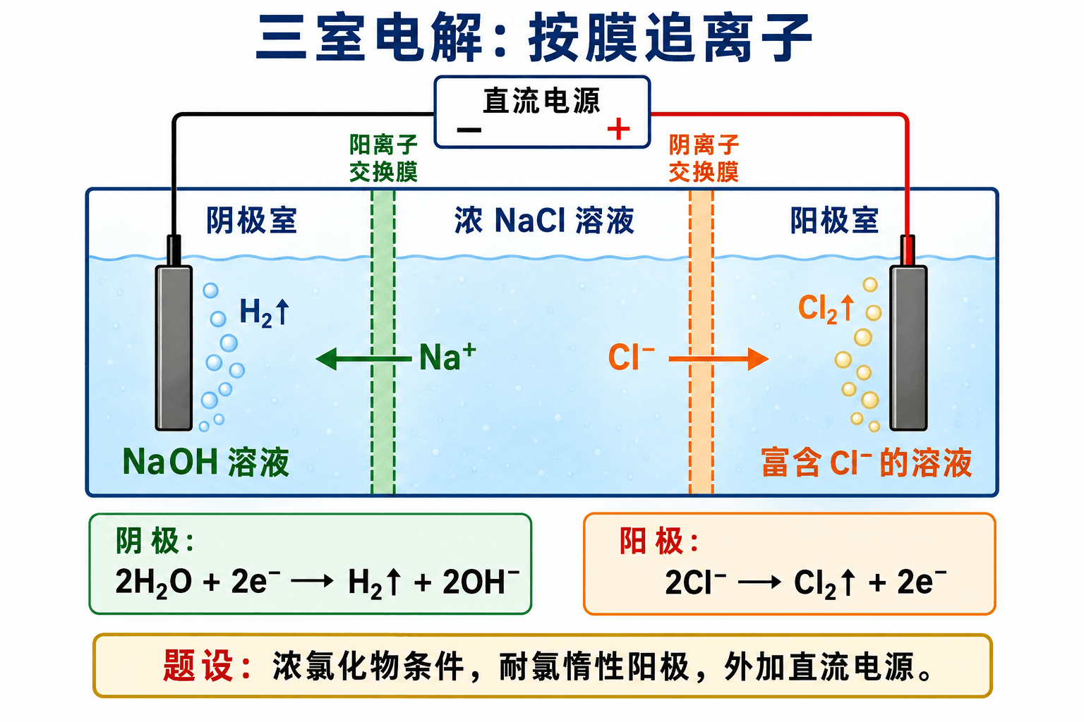 普通三室氯碱模型:Na⁺与Cl⁻分别通过对应交换膜
