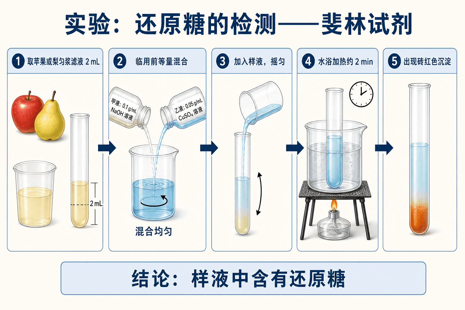 斐林试剂检测还原糖的水浴加热与砖红色沉淀示意图