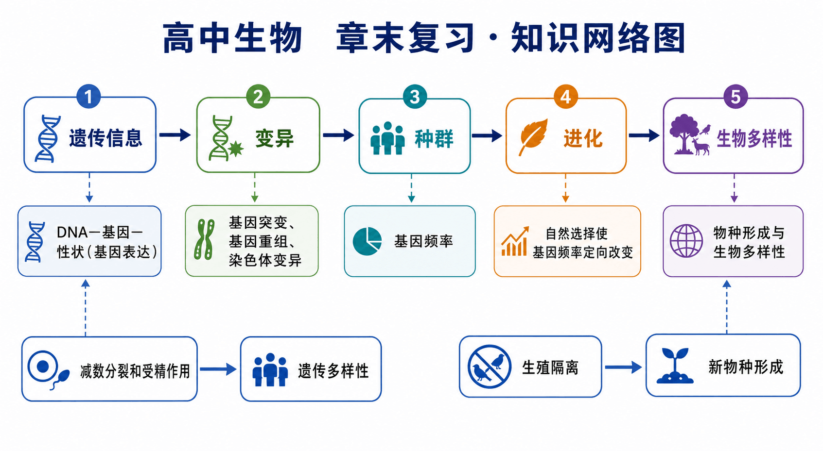 遗传与进化的知识网络