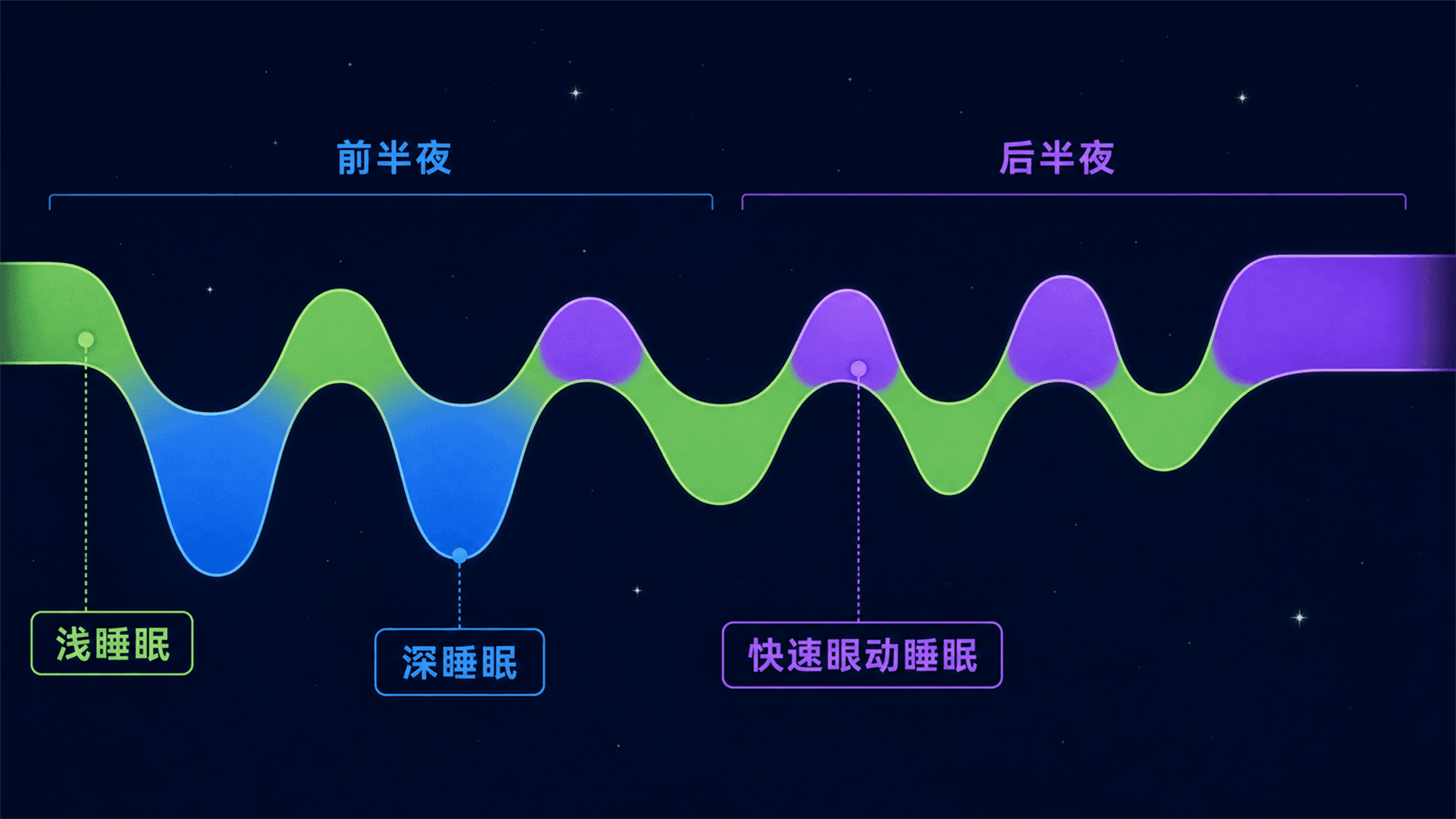 前半夜深睡眠较集中、后半夜快速眼动睡眠逐渐延长的周期示意