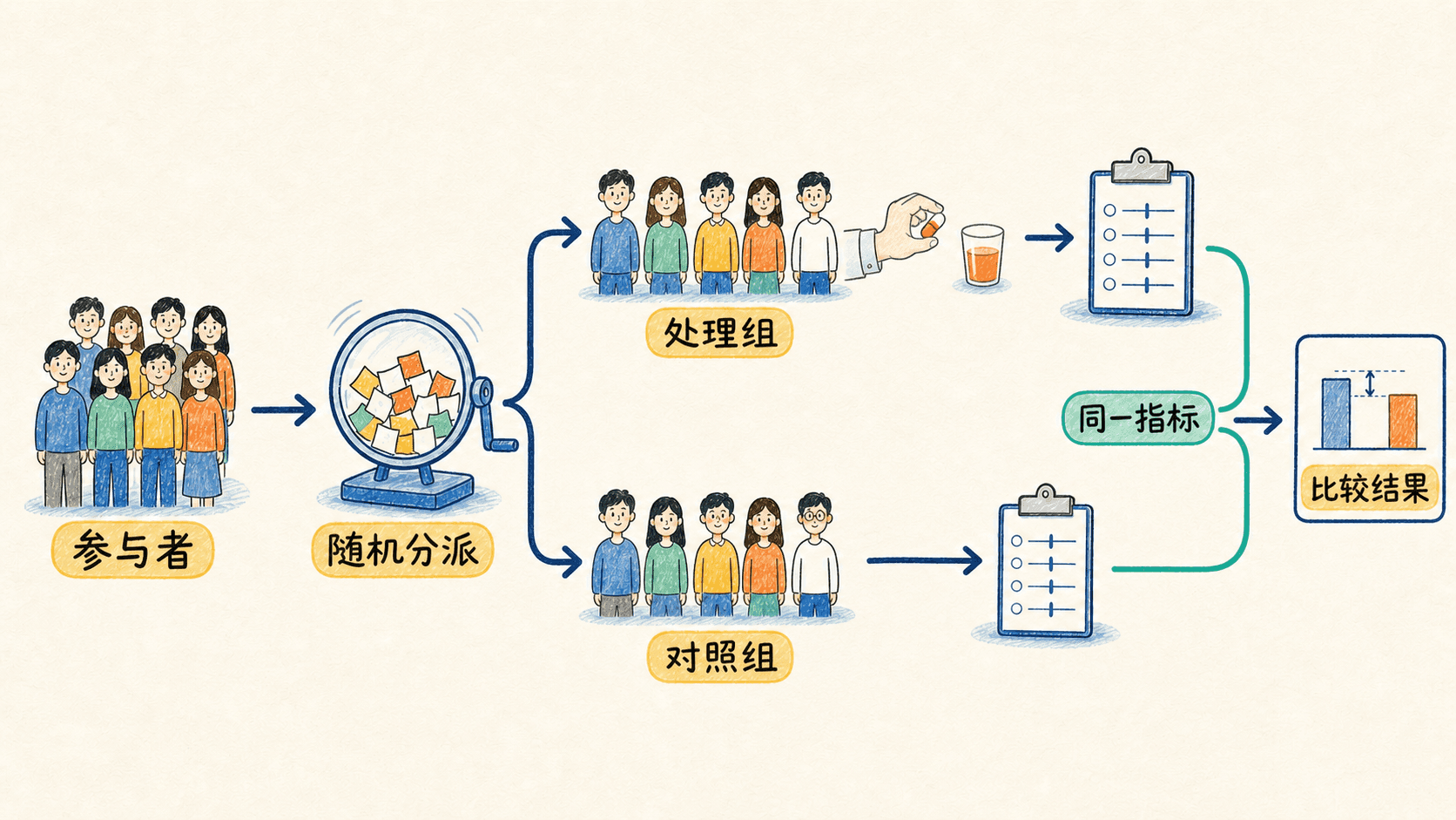 参与者经过随机分派进入处理组和对照组,再用同一指标比较结果