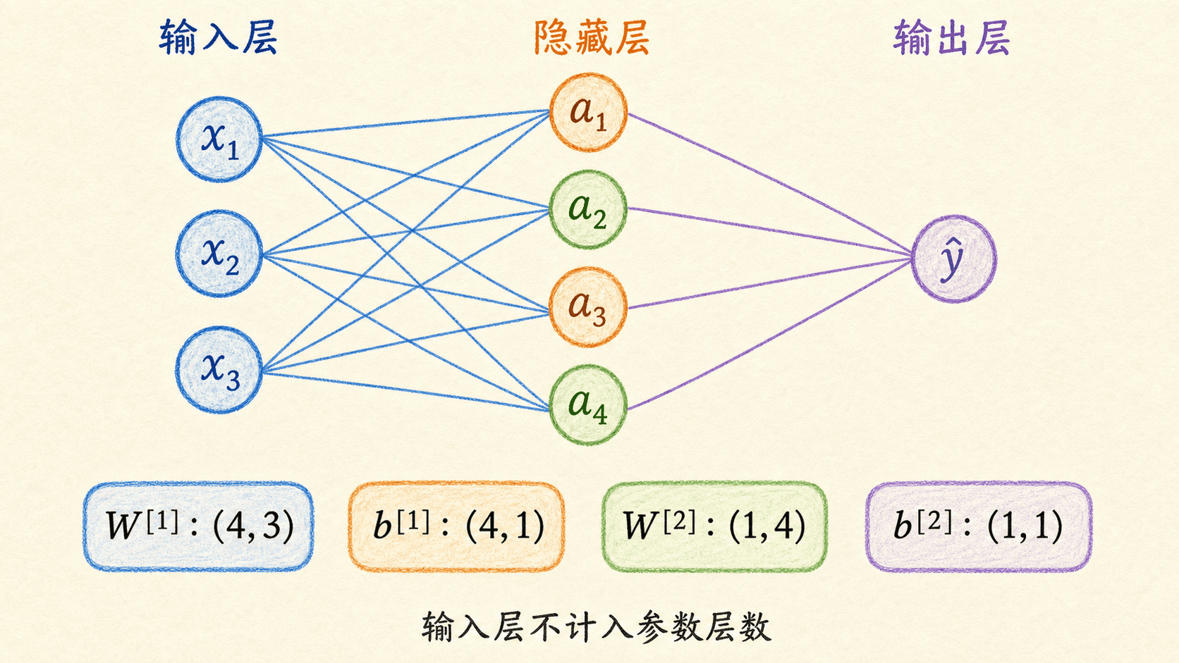 两层神经网络的层级、参数与维度