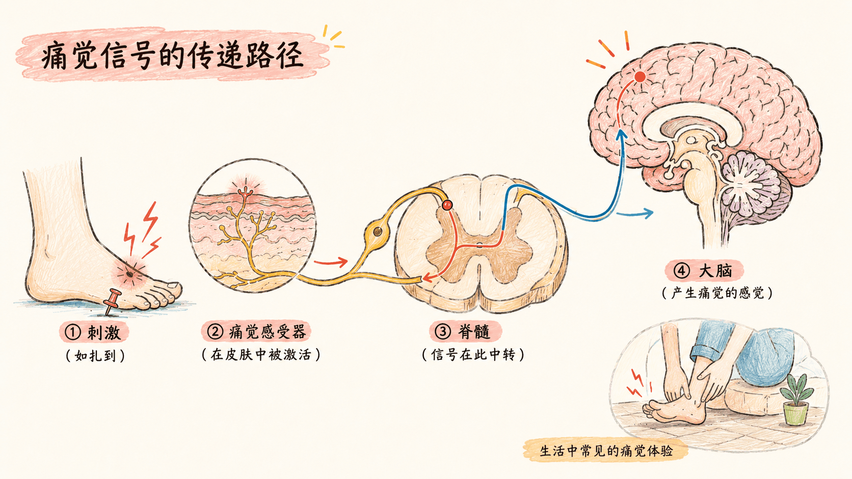 welearn-18620766.png