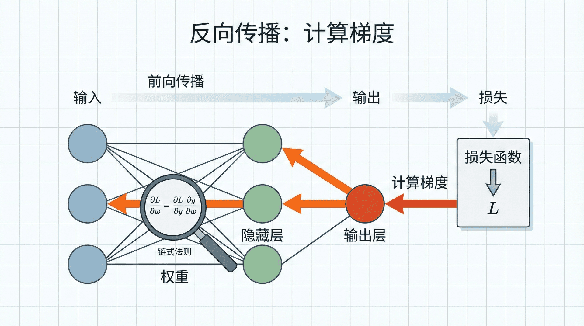 反向传播:计算梯度
