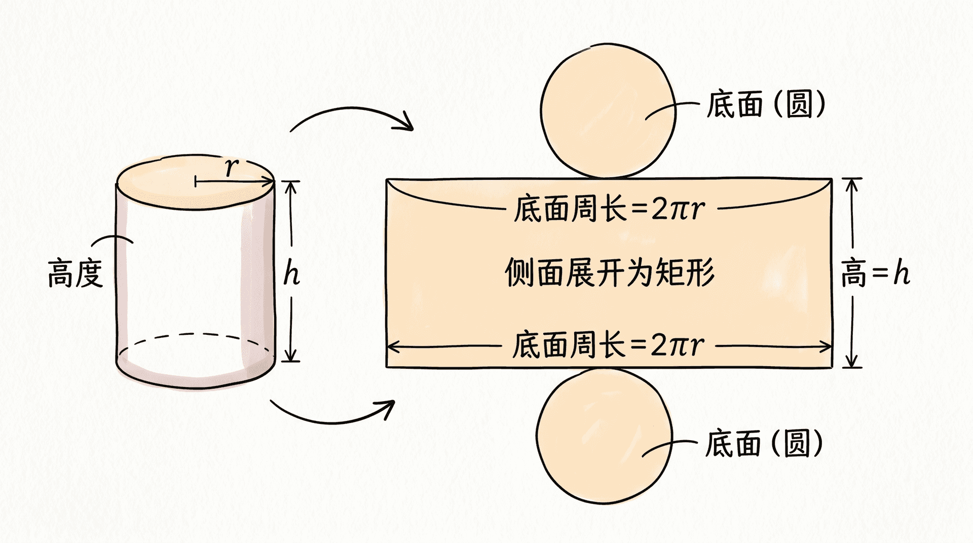 圆柱展开图:侧面展开为矩形,长为底面周长2πr,宽为高h,两端附上两个圆形底面