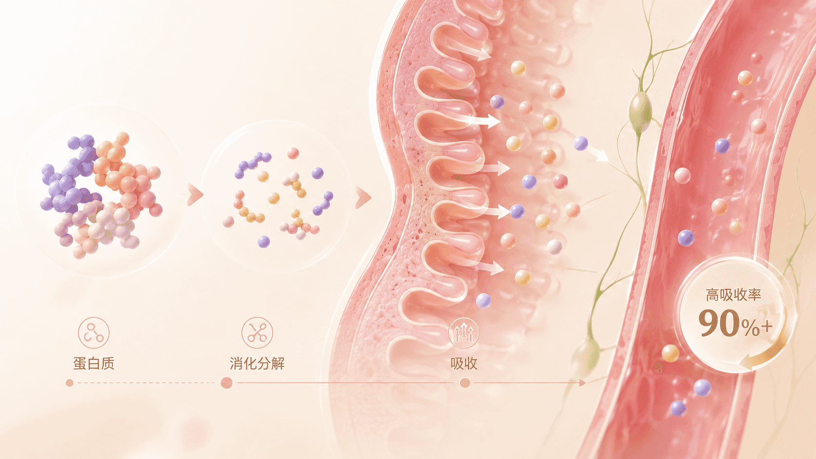 welearn-49910060.png