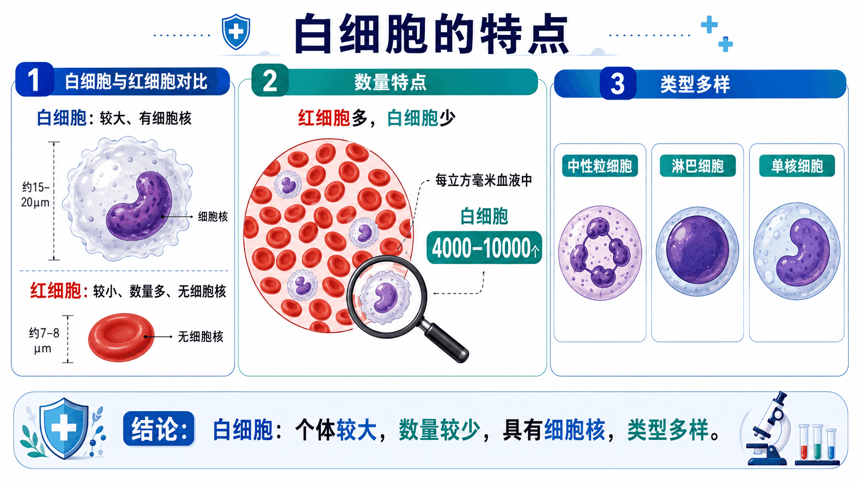 welearn-62830373.png