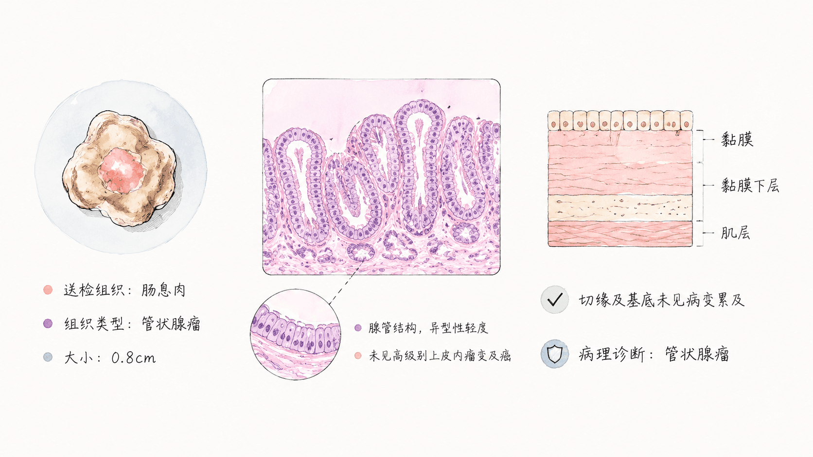welearn-75996314.png