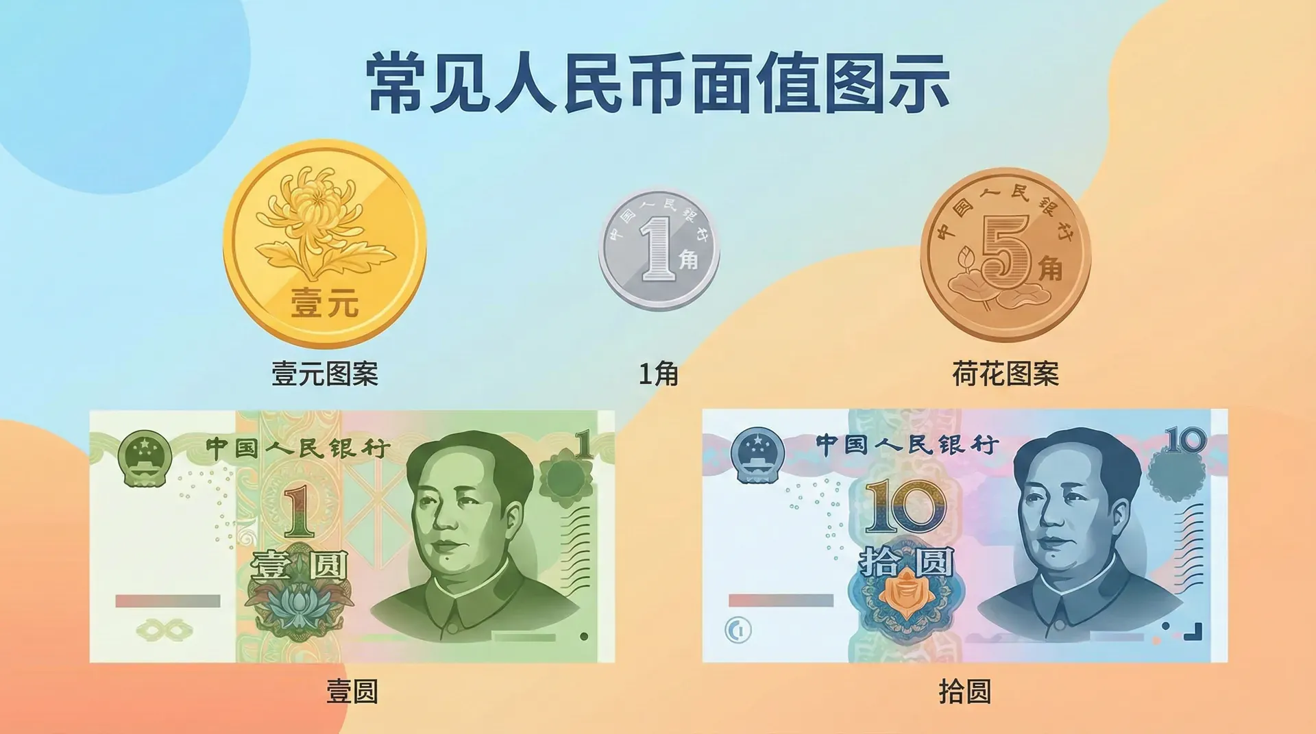 常见人民币面值的图示:1元硬币、1角硬币、5角硬币、1元纸币、10元纸币