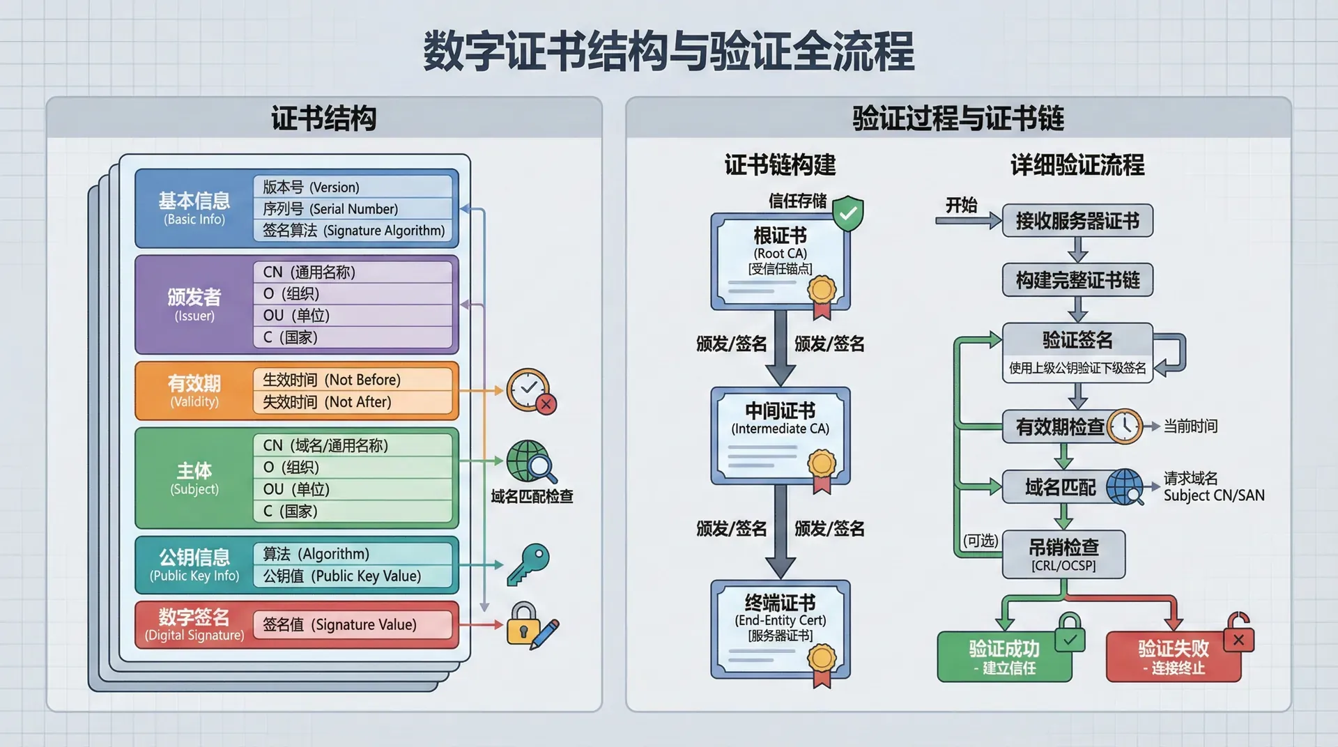 展示数字证书的结构和验证过程,包括证书的各个字段、证书链的验证、域名匹配、过期检查等,用详细的图示展示证书验证的完整过程,同时展示证书链的构建